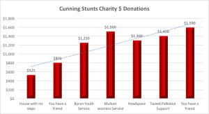 Cunning Stunts Donations