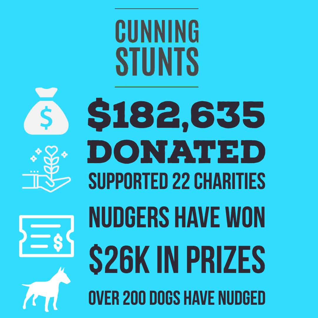 NUDGE_INFOGRAPHIC BLUE